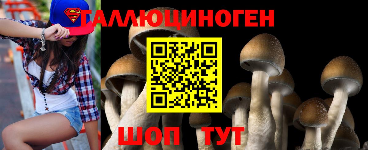 Галлюциногенные грибы мухоморы Киржач