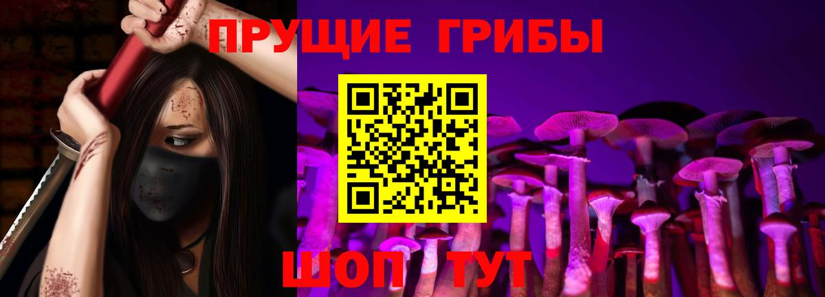 Киржач  Галлюциногенные грибы MAGIC MUSHROOMS  купить  цена  Галлюциногенные грибы GOLDEN TEACHER  Вход с VPN 