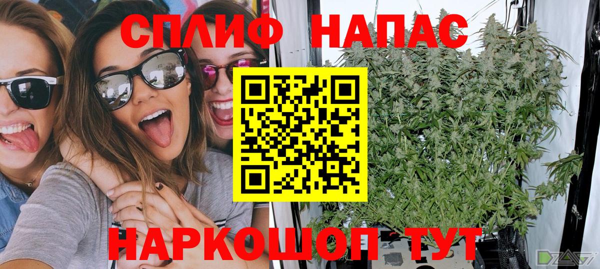 Конопля SATIVA & INDICA  Вход с VPN  Конопля Ganja  Бошки марихуана марихуана  Каннабис VHQ  Киржач 